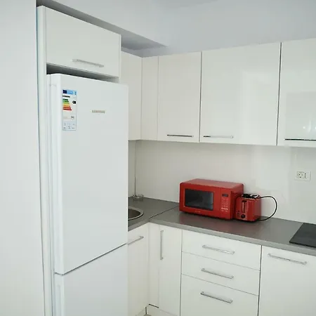 Apartment Studio Viggo Mamaia